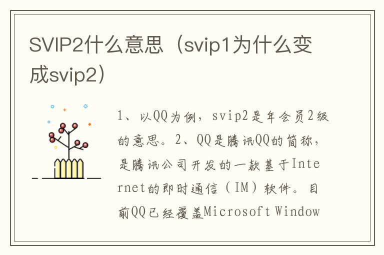 SVIP2什么意思（svip1为什么变成svip2）