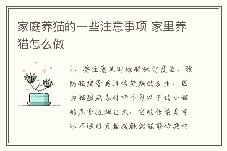 家庭养猫的一些注意事项 家里养猫怎么做