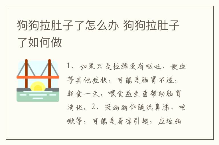 狗狗拉肚子了怎么办 狗狗拉肚子了如何做