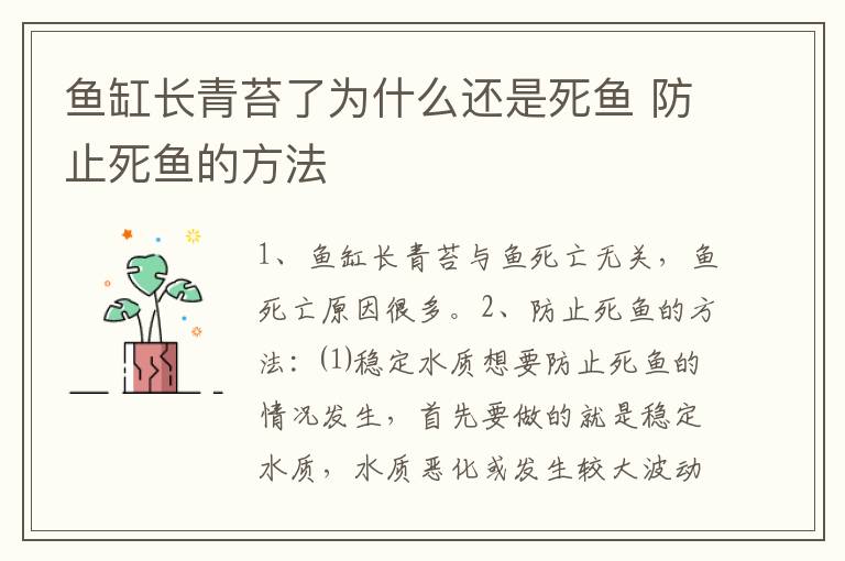 鱼缸长青苔了为什么还是死鱼 防止死鱼的方法