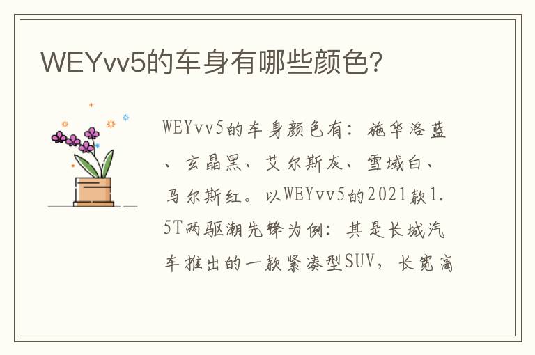 WEYvv5的车身有哪些颜色？