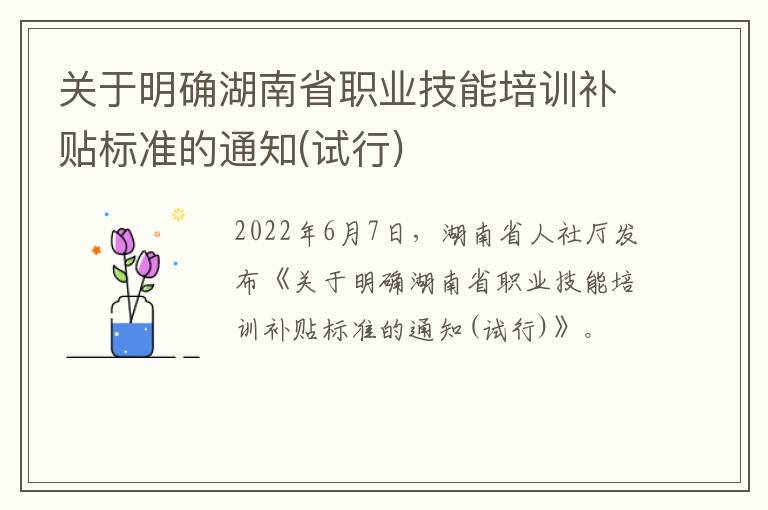 关于明确湖南省职业技能培训补贴标准的通知(试行)