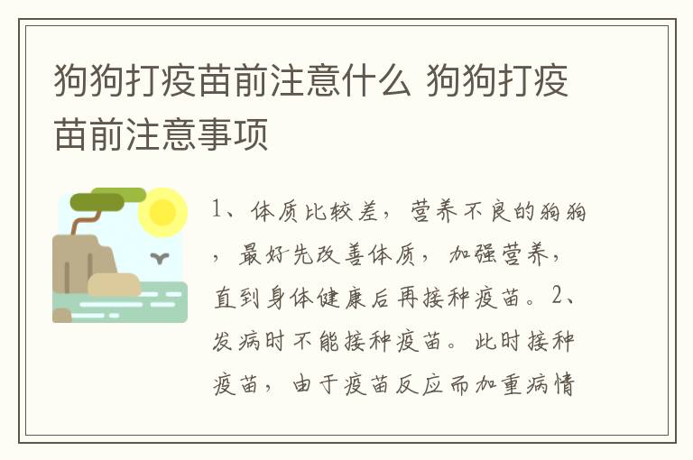 狗狗打疫苗前注意什么 狗狗打疫苗前注意事项