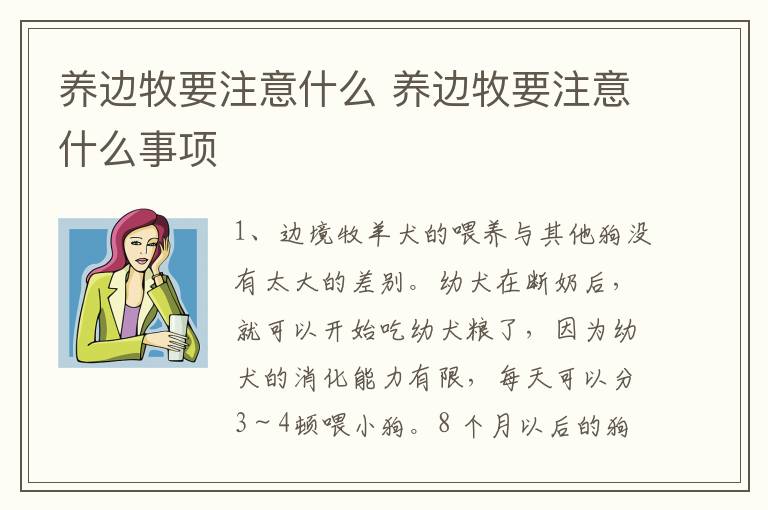 养边牧要注意什么 养边牧要注意什么事项