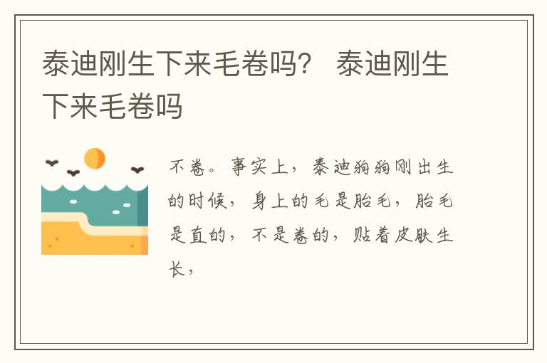 泰迪刚生下来毛卷吗？ 泰迪刚生下来毛卷吗