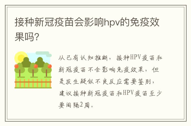 接种新冠疫苗会影响hpv的免疫效果吗？