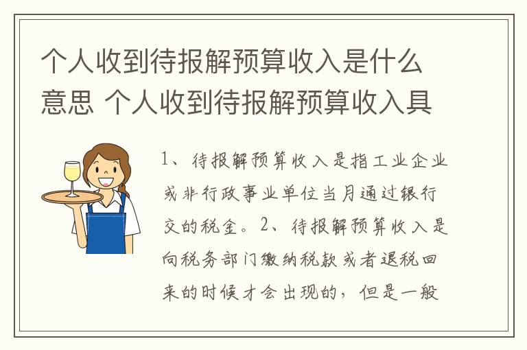 个人收到待报解预算收入是什么意思 个人收到待报解预算收入具体是什么意思