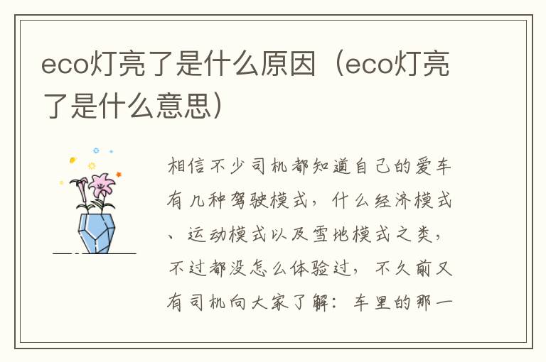 eco灯亮了是什么原因（eco灯亮了是什么意思）