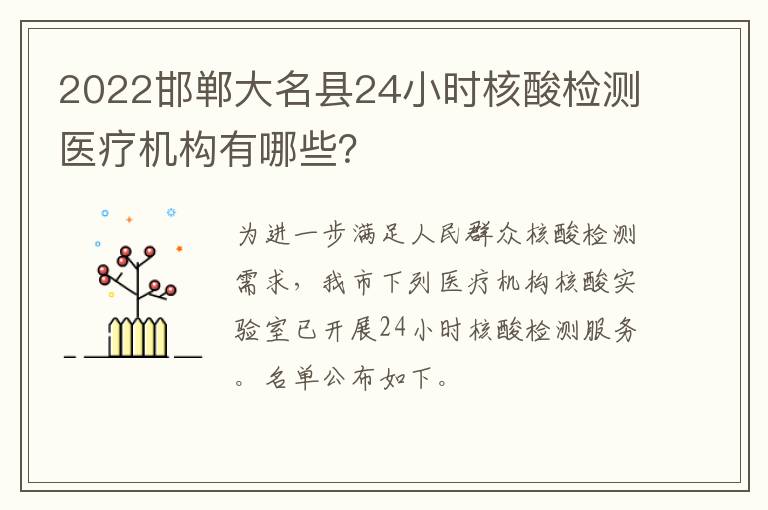 2022邯郸大名县24小时核酸检测医疗机构有哪些？