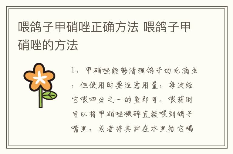 喂鸽子甲硝唑正确方法 喂鸽子甲硝唑的方法