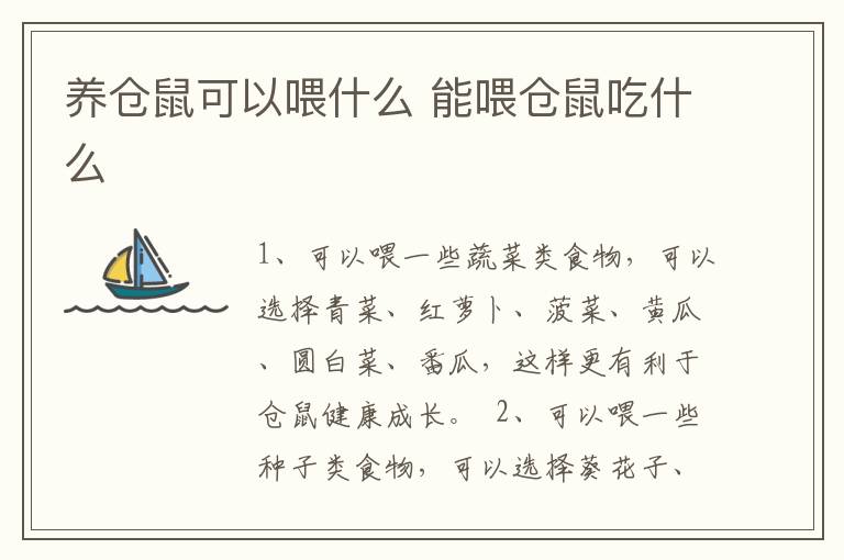 养仓鼠可以喂什么 能喂仓鼠吃什么