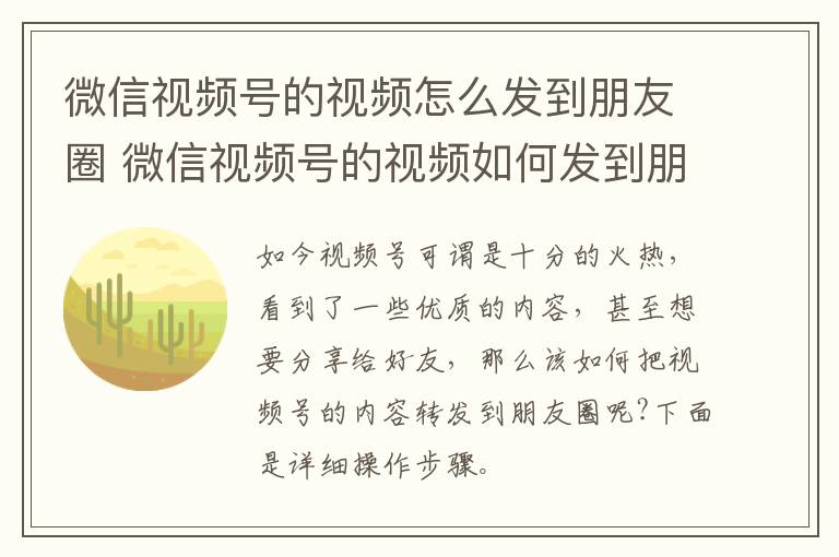 微信视频号的视频怎么发到朋友圈 微信视频号的视频如何发到朋友圈