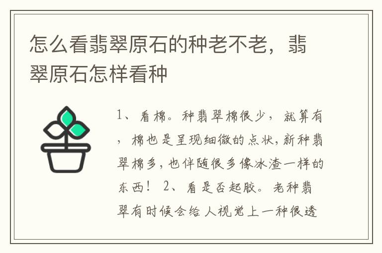 怎么看翡翠原石的种老不老，翡翠原石怎样看种