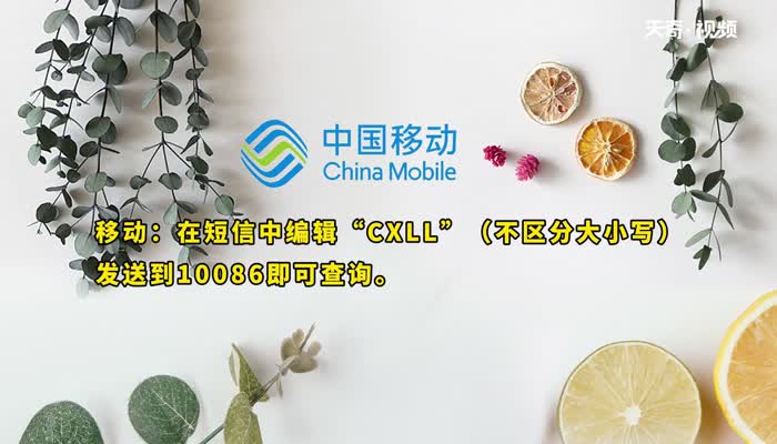 流量查询发什么短信 流量查询怎么发短信