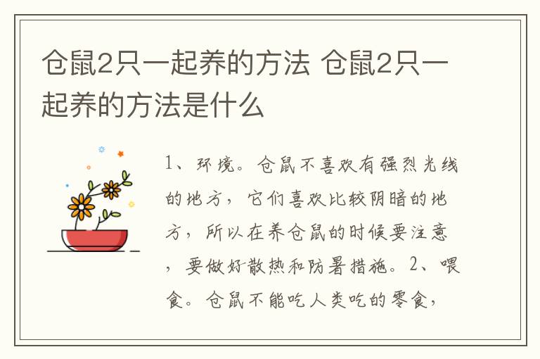 仓鼠2只一起养的方法 仓鼠2只一起养的方法是什么