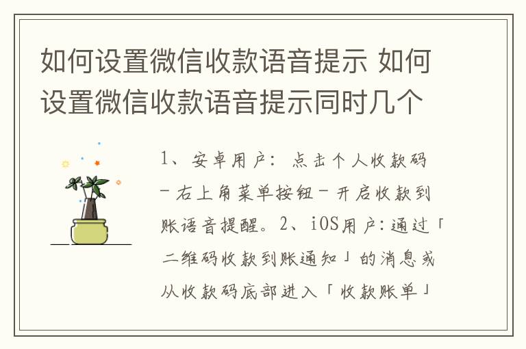 如何设置微信收款语音提示 如何设置微信收款语音提示同时几个人听到吗