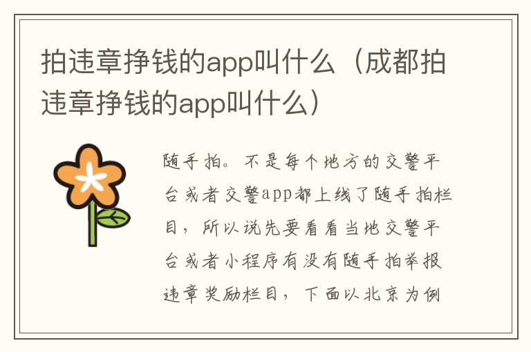 拍违章挣钱的app叫什么（成都拍违章挣钱的app叫什么）