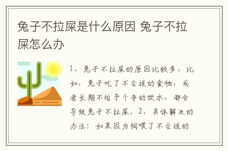 兔子不拉屎是什么原因 兔子不拉屎怎么办