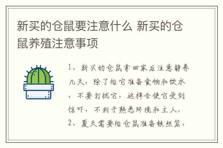 新买的仓鼠要注意什么 新买的仓鼠养殖注意事项