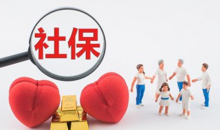 怎么查询社保编号 查询社保编号的方法