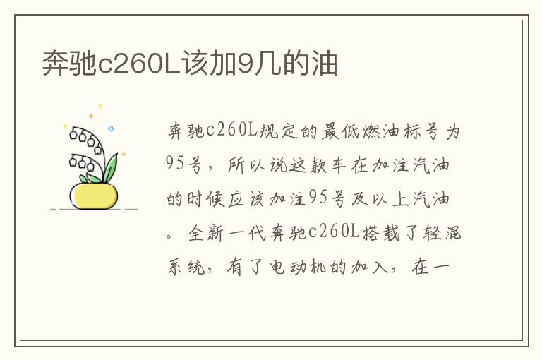 奔驰c260L该加9几的油