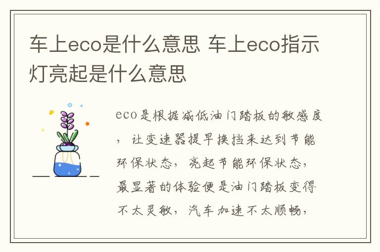 车上eco是什么意思 车上eco指示灯亮起是什么意思