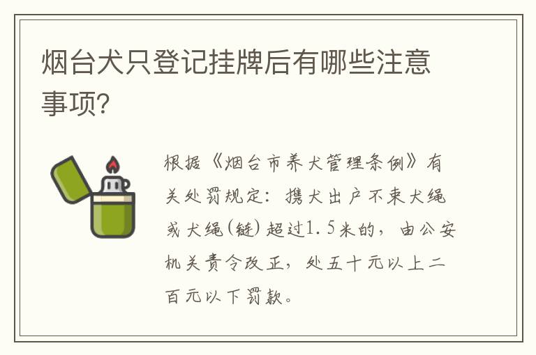 烟台犬只登记挂牌后有哪些注意事项？