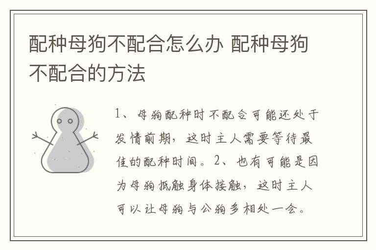 配种母狗不配合怎么办 配种母狗不配合的方法