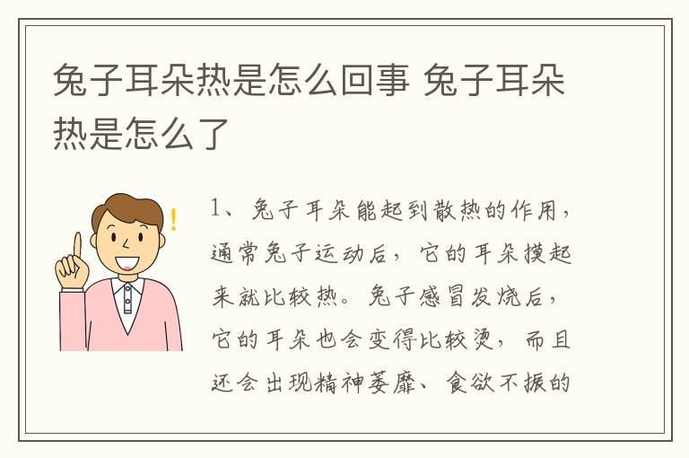 兔子耳朵热是怎么回事 兔子耳朵热是怎么了