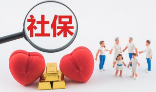 怎么查社保交了多少年 如何查社保交了多少年