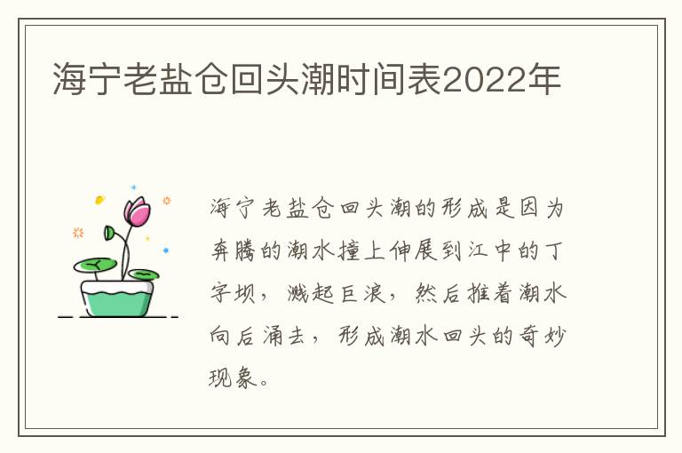 海宁老盐仓回头潮时间表2022年