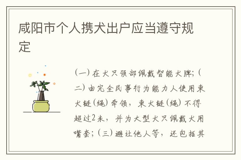 咸阳市个人携犬出户应当遵守规定