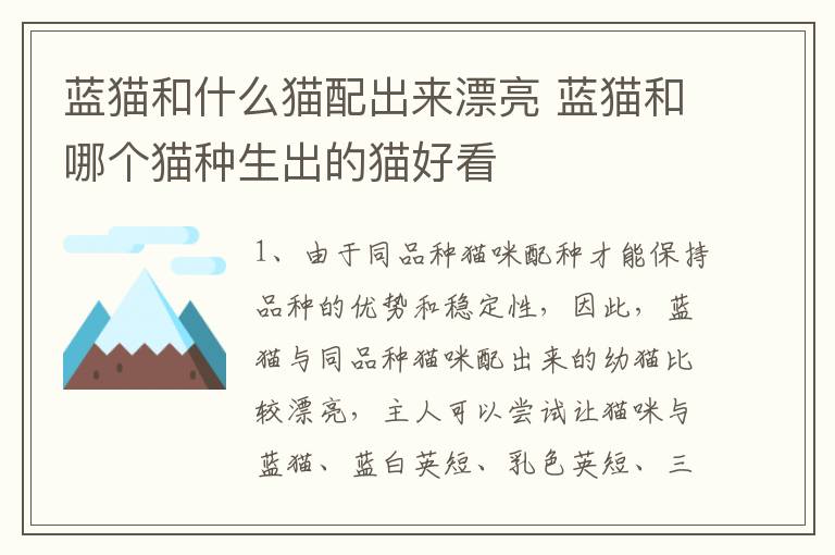 蓝猫和什么猫配出来漂亮 蓝猫和哪个猫种生出的猫好看