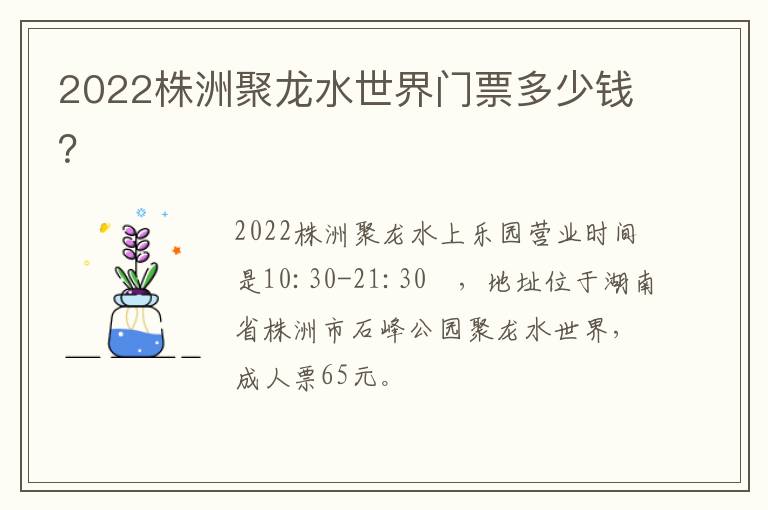 2022株洲聚龙水世界门票多少钱？