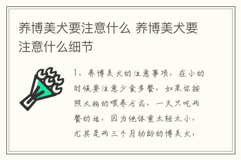 养博美犬要注意什么 养博美犬要注意什么细节