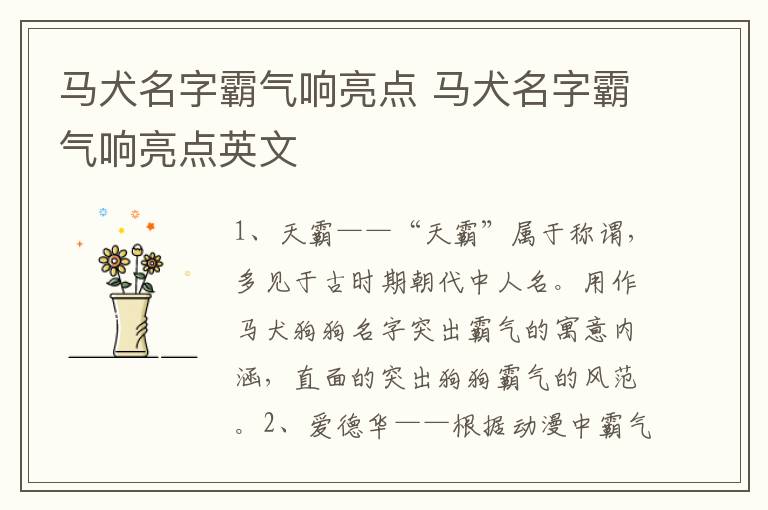 马犬名字霸气响亮点 马犬名字霸气响亮点英文