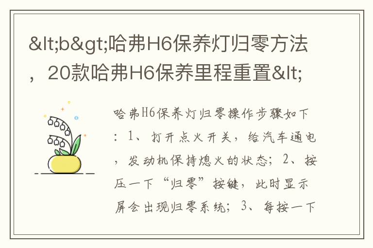 <b>哈弗H6保养灯归零方法，20款哈弗H6保养里程重置</b>