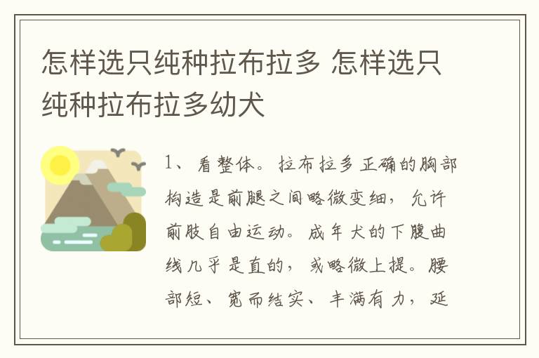 怎样选只纯种拉布拉多 怎样选只纯种拉布拉多幼犬