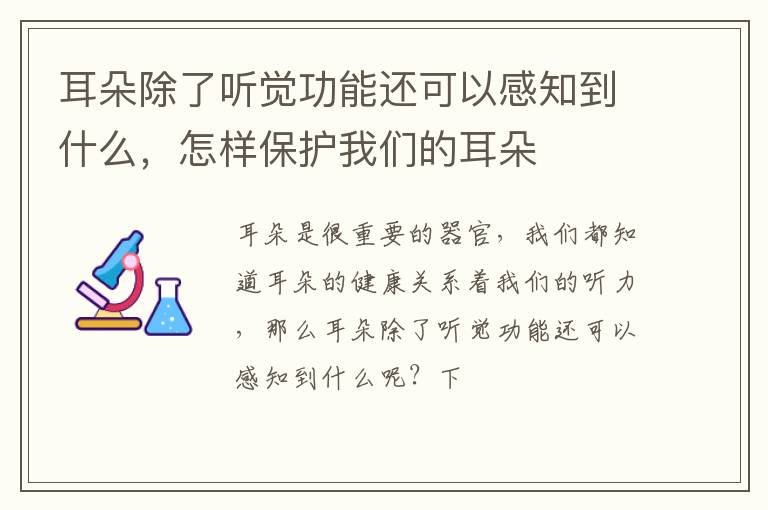 耳朵除了听觉功能还可以感知到什么，怎样保护我们的耳朵