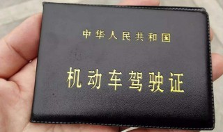 怎么查驾驶证 如何查驾驶证