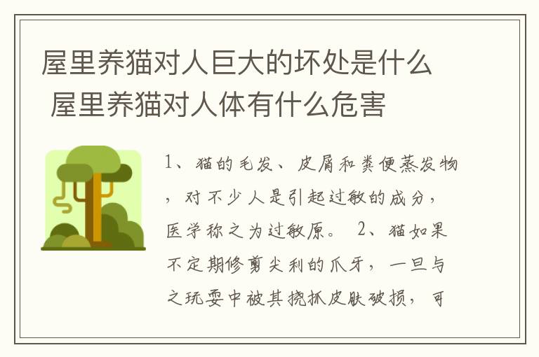 屋里养猫对人巨大的坏处是什么 屋里养猫对人体有什么危害