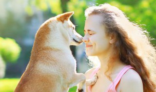 女生为什么适合养干净的狗狗? 女生为何适合养干净的狗狗?