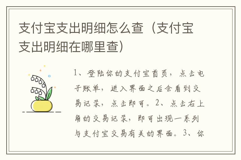 支付宝支出明细怎么查（支付宝支出明细在哪里查）