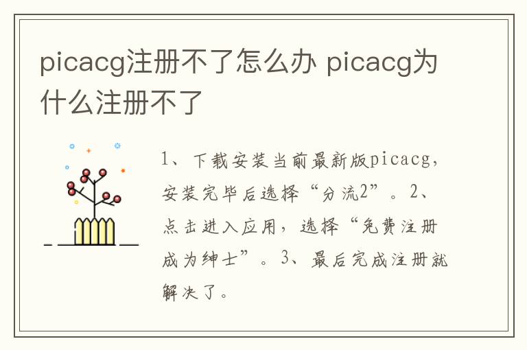 picacg注册不了怎么办 picacg为什么注册不了