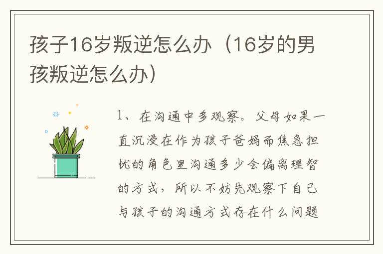 孩子16岁叛逆怎么办（16岁的男孩叛逆怎么办）