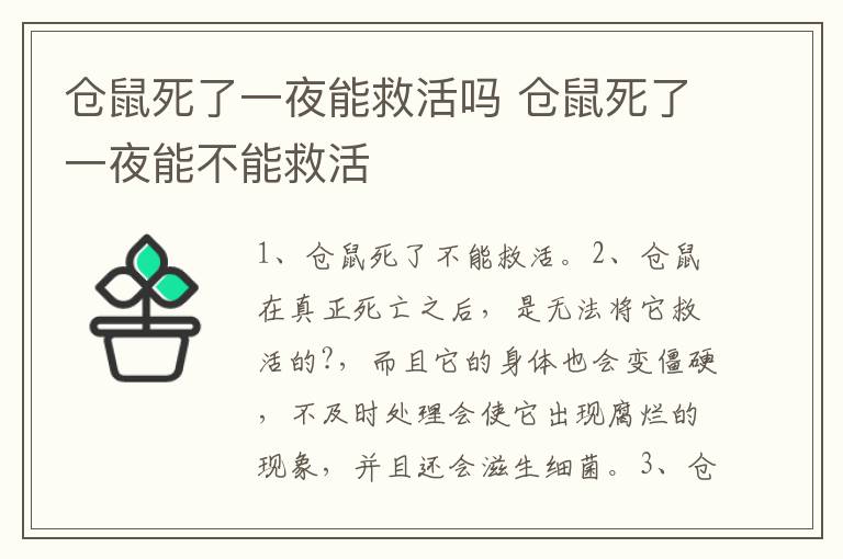 仓鼠死了一夜能救活吗 仓鼠死了一夜能不能救活