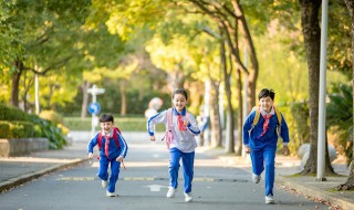 小学生回到家不做作业怎么办（小学生没有回家作业）