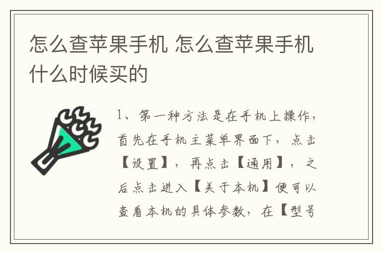 怎么查苹果手机 怎么查苹果手机什么时候买的