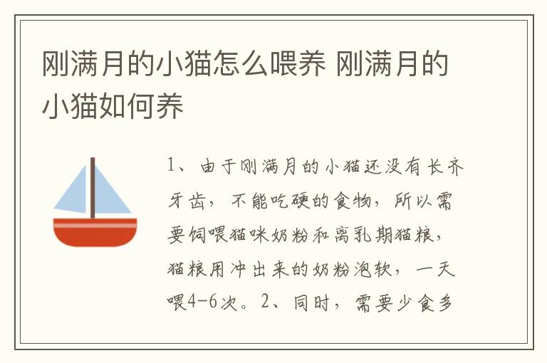 刚满月的小猫怎么喂养 刚满月的小猫如何养