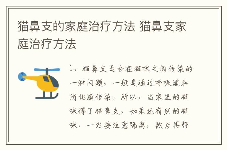 猫鼻支的家庭治疗方法 猫鼻支家庭治疗方法